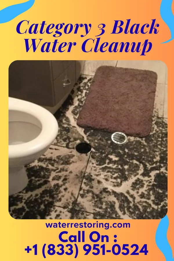 Category 3 Black Water Cleanup in Marion, IN