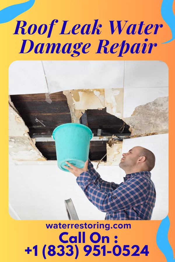 Roof Leak Water Damage Repair in Marion, IN