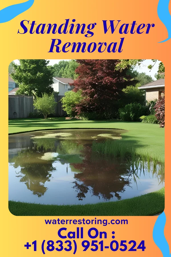 Standing Water Removal in Marion, IN